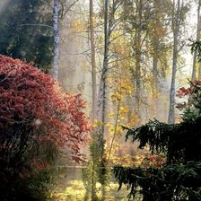 Cross stitch pattern: #2915988