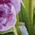 Preview of cross stitch pattern: #2916158
