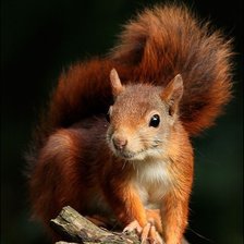 Cross stitch pattern: #2916217