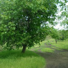 Cross stitch pattern: #2916486