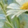 Preview of cross stitch pattern: #2916645