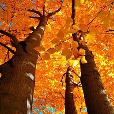 Cross stitch pattern: #2916843