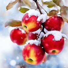 Cross stitch pattern: #2917086