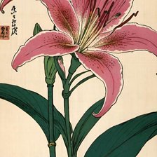 Cross stitch pattern: #2917165