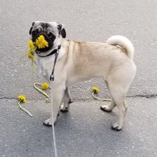 Cross stitch pattern: #2917313