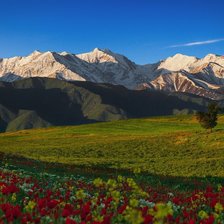 Cross stitch pattern: #2918832