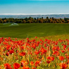 Cross stitch pattern: #2918836