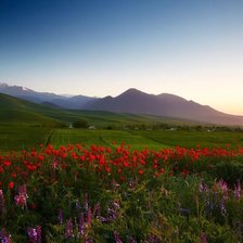 Cross stitch pattern: #2918838