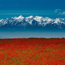 Cross stitch pattern: #2918840