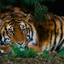 Cross stitch pattern: #2918885