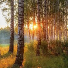 Cross stitch pattern: #2918974