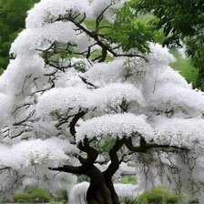 Cross stitch pattern: #2918978