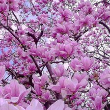 Cross stitch pattern: #2918981