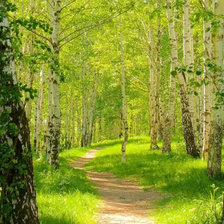 Cross stitch pattern: #2919043