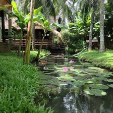 Cross stitch pattern: #2919060