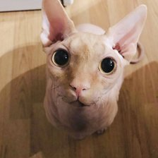 Cross stitch pattern: #2919076