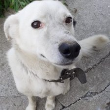 Cross stitch pattern: #2919136