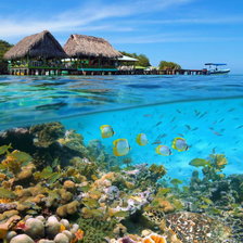 Cross stitch pattern: #2919823