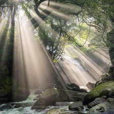 Cross stitch pattern: #2920060