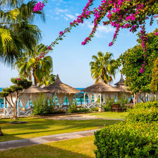 Cross stitch pattern: #2920190