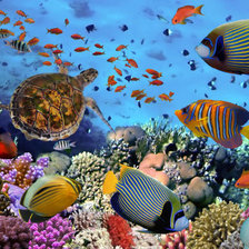 Cross stitch pattern: #2920490