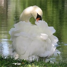 Cross stitch pattern: #2920789