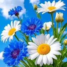 Cross stitch pattern: #2920798