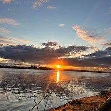 Cross stitch pattern: #2921361