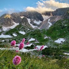 Cross stitch pattern: #2921364