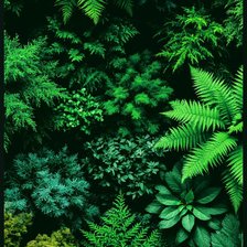 Cross stitch pattern: #2921726