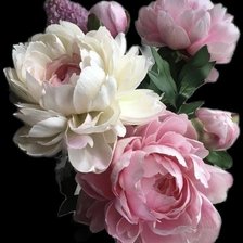 Cross stitch pattern: #2922266