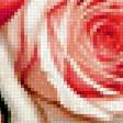Preview of cross stitch pattern: #2922579