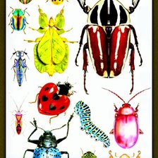 Cross stitch pattern: #2922857