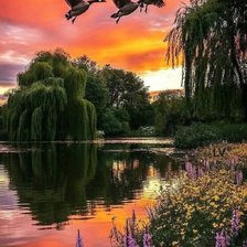 Cross stitch pattern: #2923229