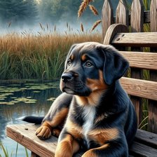 Cross stitch pattern: #2923885