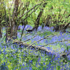 Cross stitch pattern: #2923946