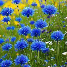 Cross stitch pattern: #2924061