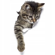 Cross stitch pattern: #2924561