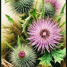 Cross stitch pattern: #2924602