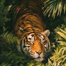 Cross stitch pattern: #2925061