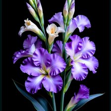 Cross stitch pattern: #2925213