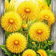 Cross stitch pattern: #2925279