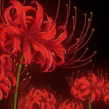 Cross stitch pattern: #2925684