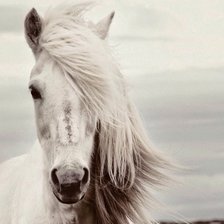 Cross stitch pattern: спирит