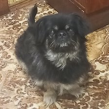 Cross stitch pattern: #2926418