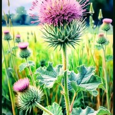 Cross stitch pattern: #2926535