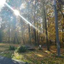 Cross stitch pattern: #2927215