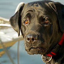 Cross stitch pattern: #2927258