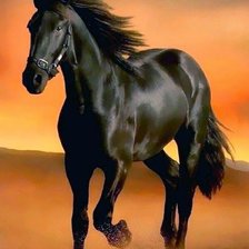 Cross stitch pattern: #2927441