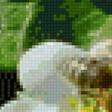 Preview of cross stitch pattern: #2927636